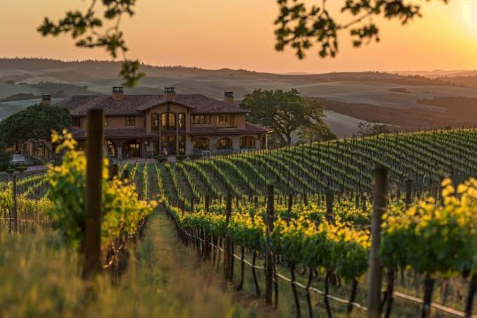 The Perfect First-Time Napa & Sonoma Weekend Itinerary