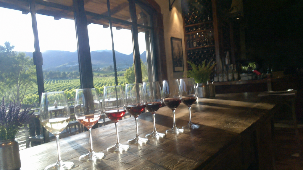 Wine Tasting for Beginners: Everything You Need to Know Before You Go